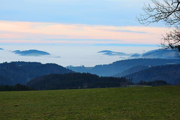 Nebelstimmung über dem Schwarzwald