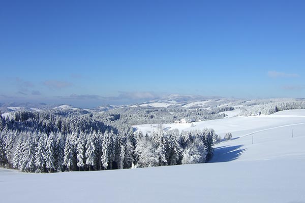 Verschneite Winterlandschaft